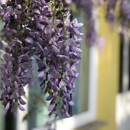 Loft Sottolalbero Lejlighed Milano Eksteriør billede